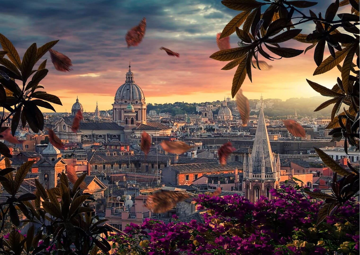 Save on international flights