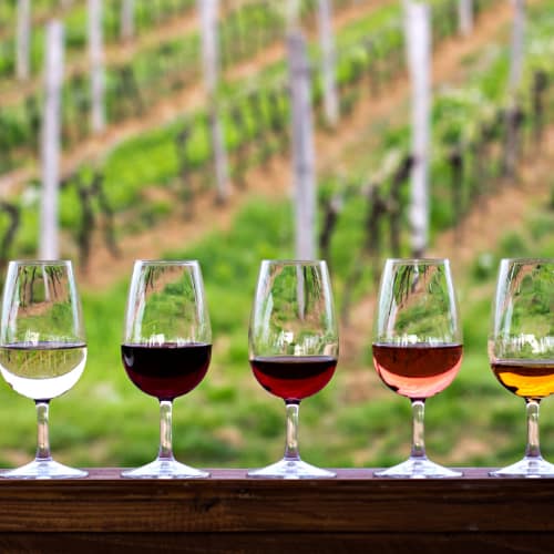 Cape Town Wine Tasting